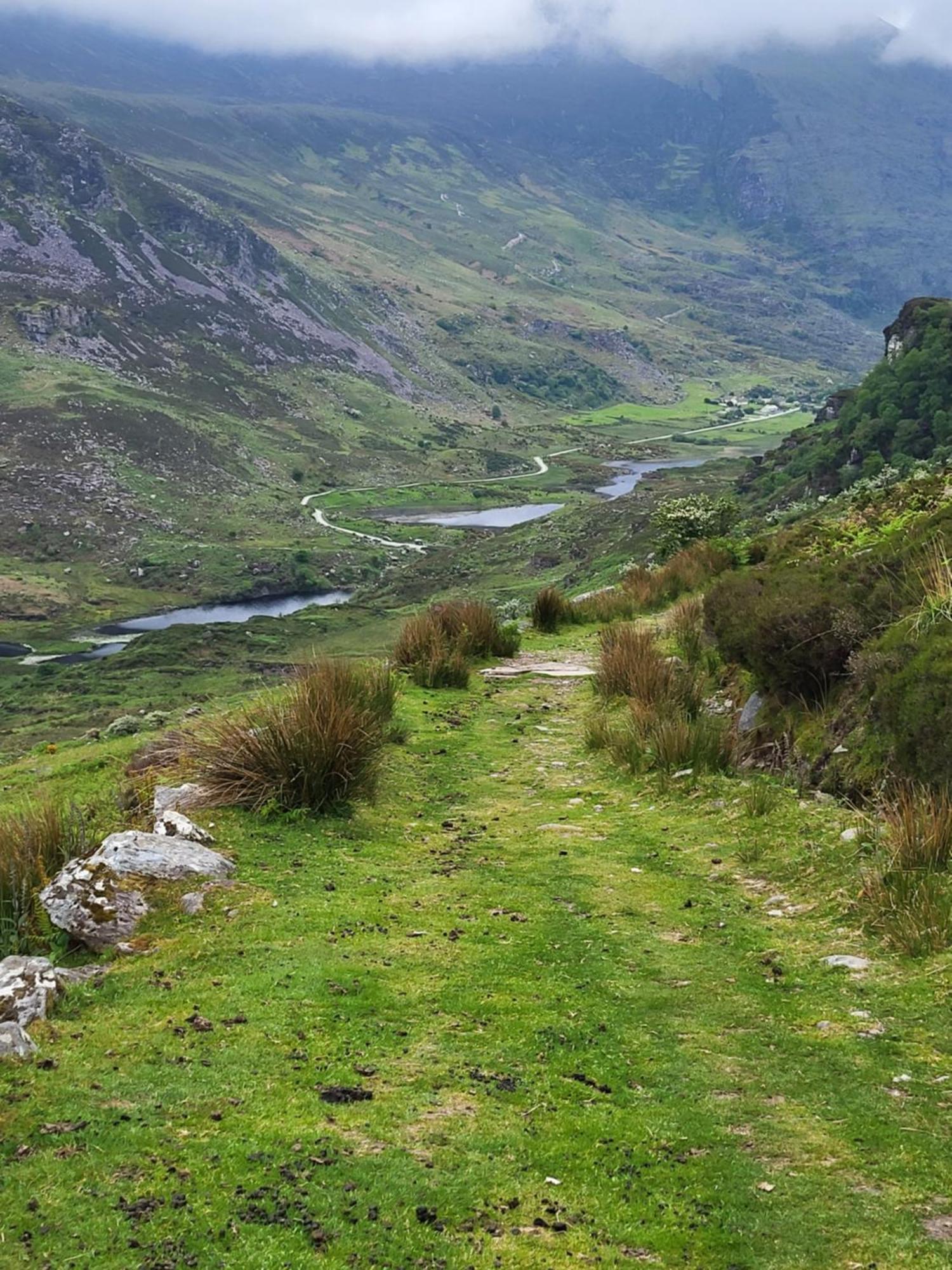 Colleen Bawn Cottage Gap Of Dunloe Kerry Laune Bridge Екстер'єр фото